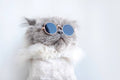 Testing